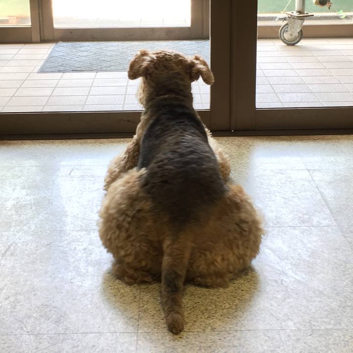 7665ea13 5c45 4ca8 9258 219fced2c533