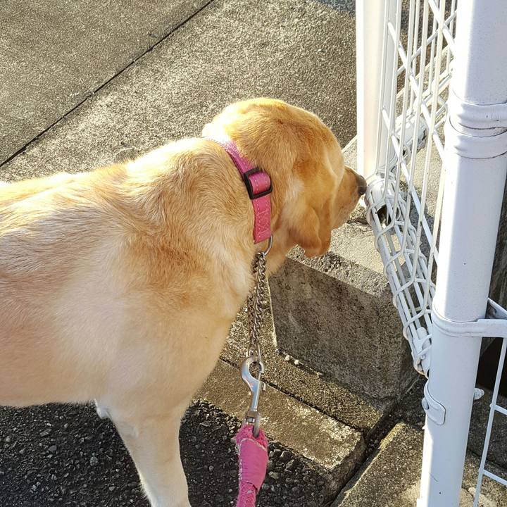 7666746d a38f 4fc5 85a2 a3aa748bfe9d