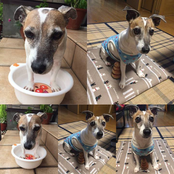 76668515 c699 43e3 a7de 28db5b4c74e4