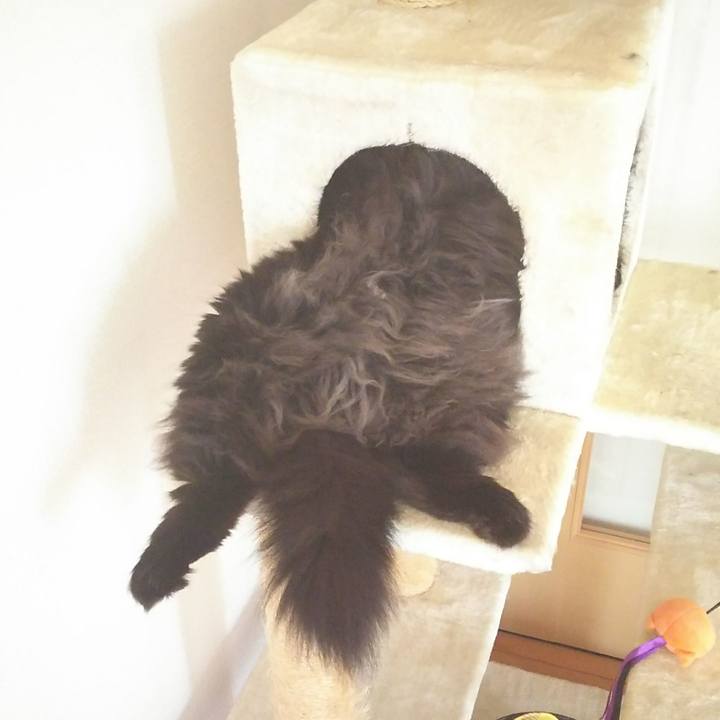 76669672 e5c8 4c20 8194 1c3d6e6758d9