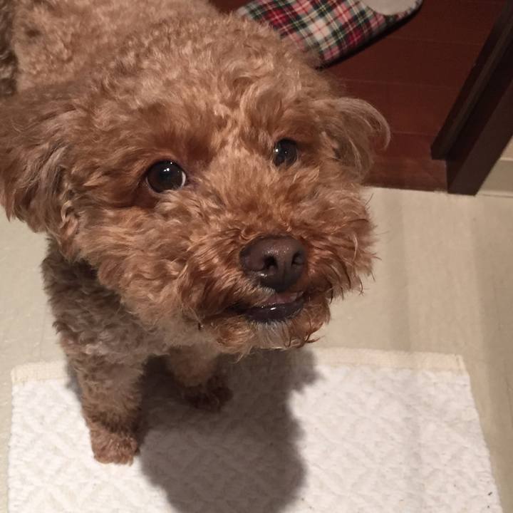 76680784 e5c0 40cb 8225 57dcff2b5837