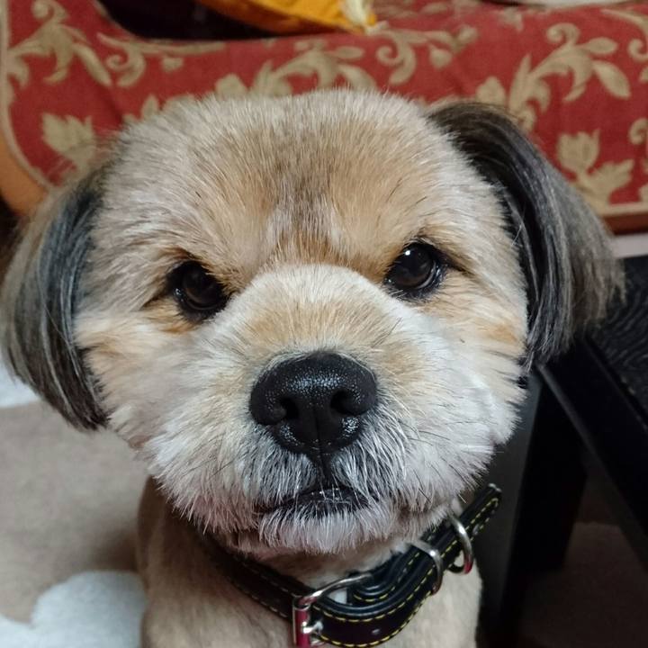 766862d4 28ee 46d0 acf6 02a3e67cd0ad