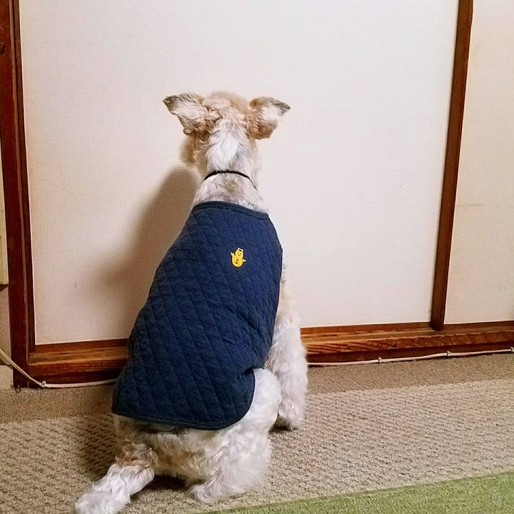 7668ec7c c351 4668 adea 9d79bba64a68