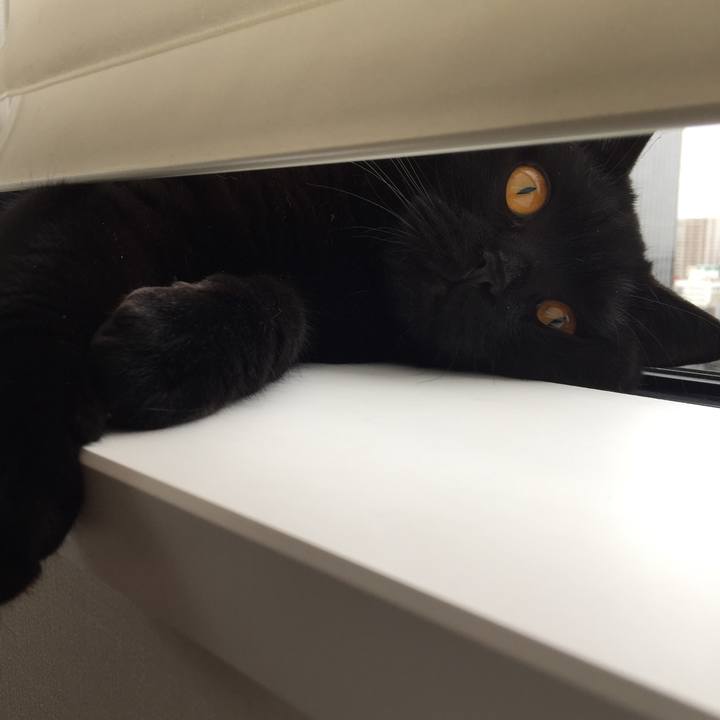 766962fa 3705 42bf 8474 455ef1ee6248