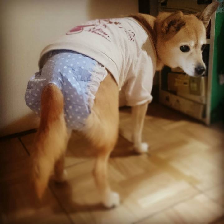 76696515 b64b 460e ba5c 1c733cb9044e