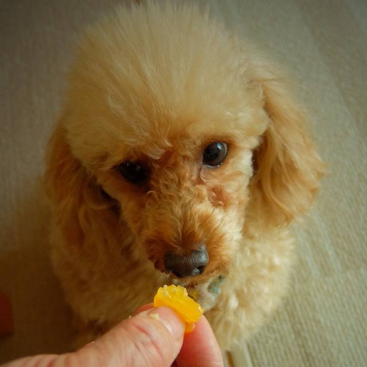 766993c5 3dd5 477b 92a3 0ab0645478c9