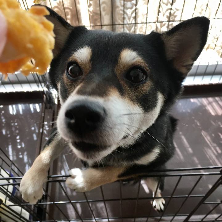 7669a9c5 5642 4a1a 83b9 63700e4187b2