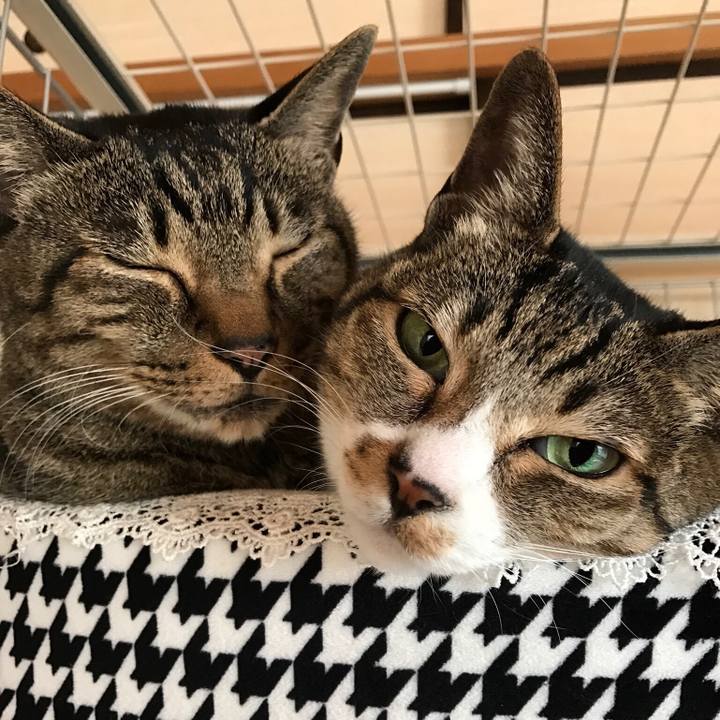 7669f62e 2935 40a8 b1f2 37aa78f78ae8