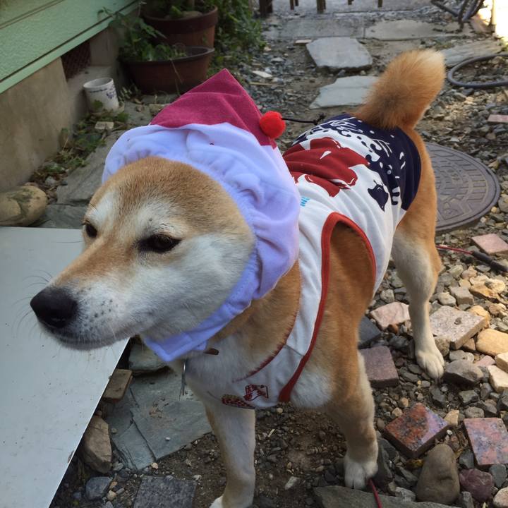 766a284e 9a01 49e1 8af7 bb3f61ab1d54