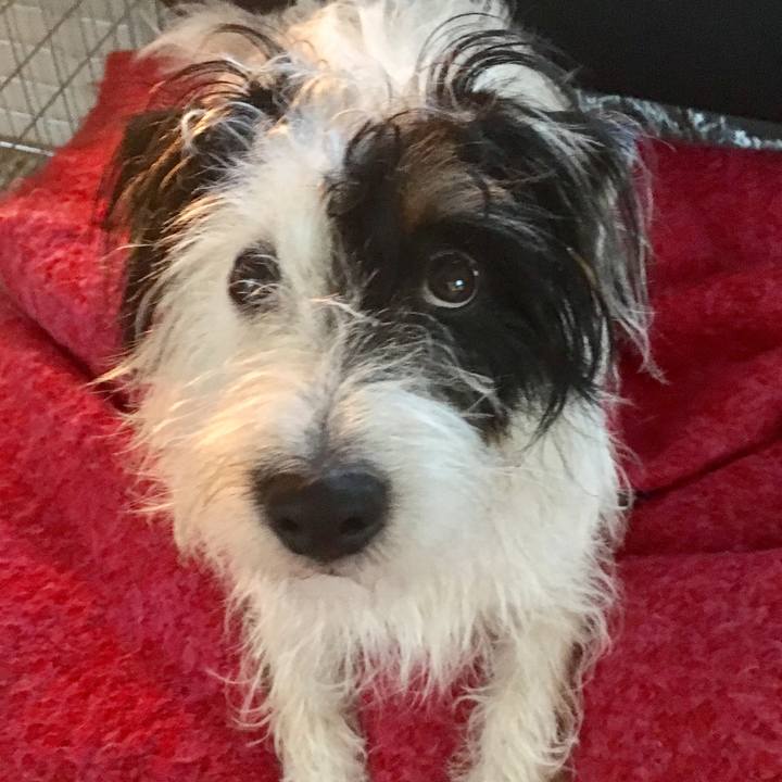 766a5341 4158 4785 9374 815b34779beb