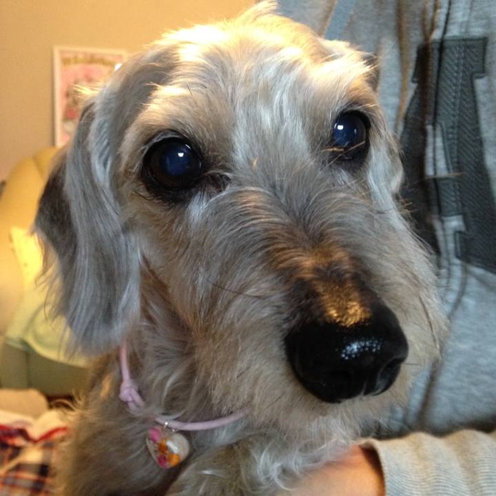 766a7878 0bea 4bae be5a e41a9bd19376