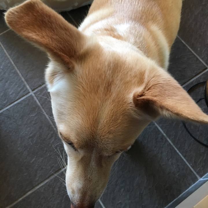 766a82a1 897c 414d a81f a252ef3a9c0e