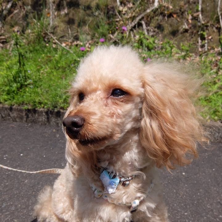 766b0988 b1b3 4bf7 96a1 7fc50df58126