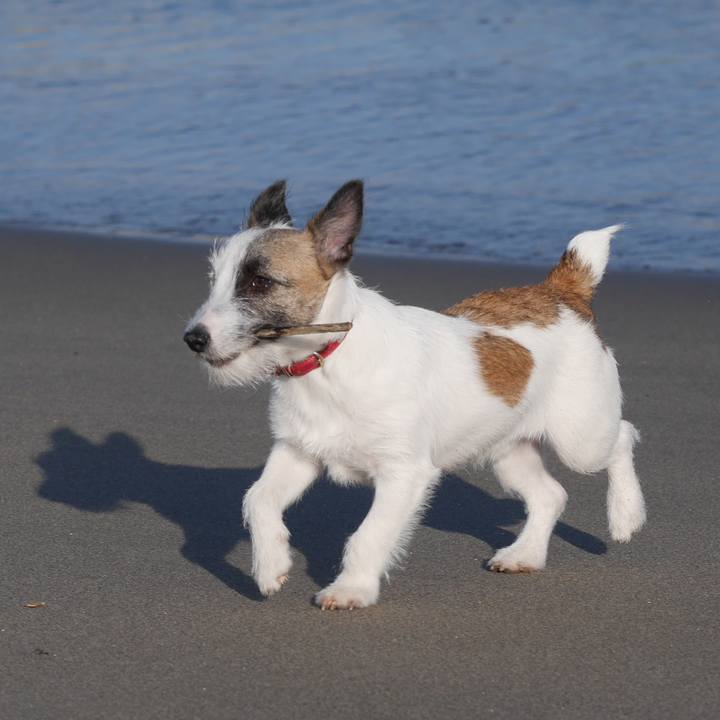 766bc1dc 8de7 49ba bb6f 5f85883c6b86