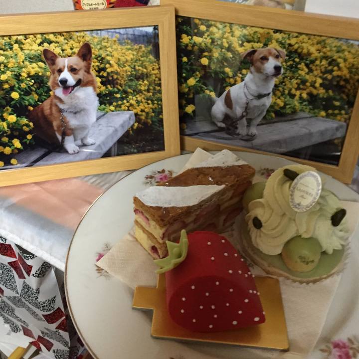 766bd28e 75e4 4c11 ad19 bdaadb22bded