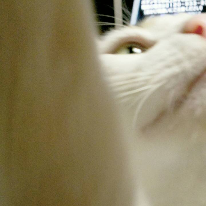 766c78df 1bd2 419a 831b 3b416c6a7835