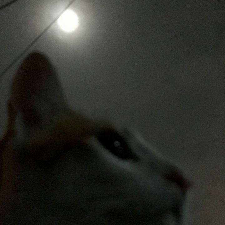 766cba7c 252a 4e65 ad0b 1674757bca32