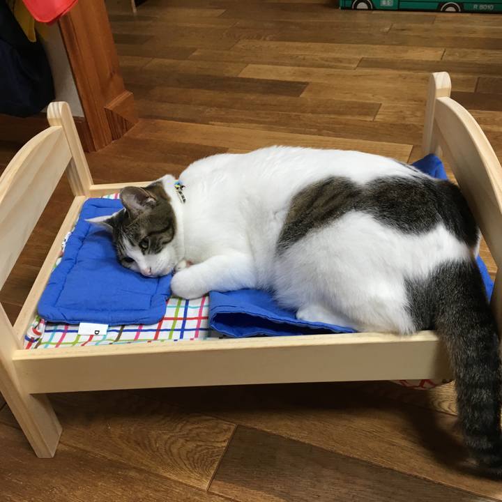 766d29c3 5ace 40ec b6bb 53f0f915c00a