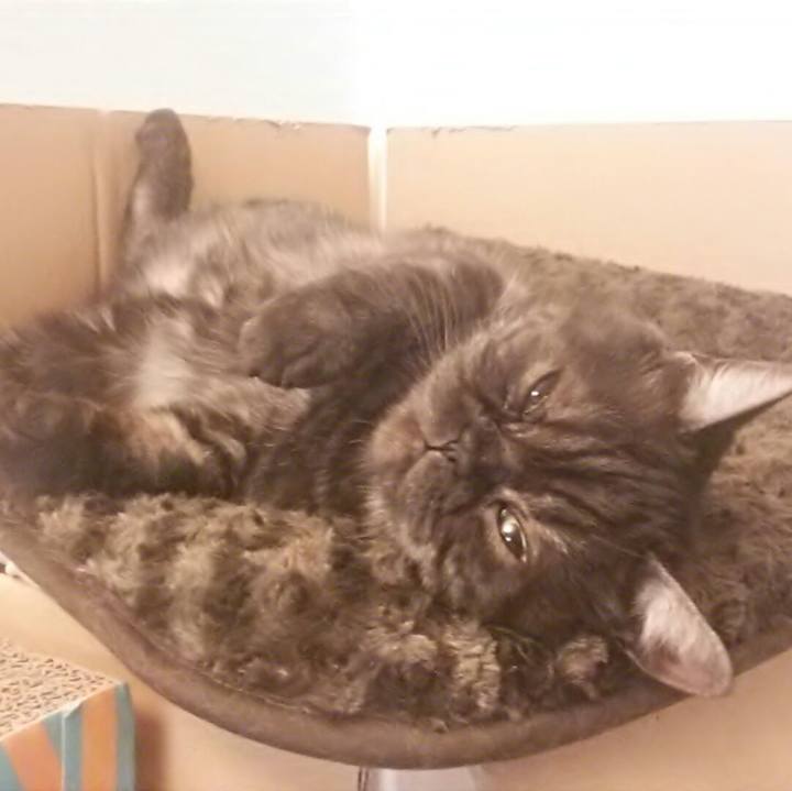 766d94b7 f1a0 4ee5 bc0d af197690c9d1