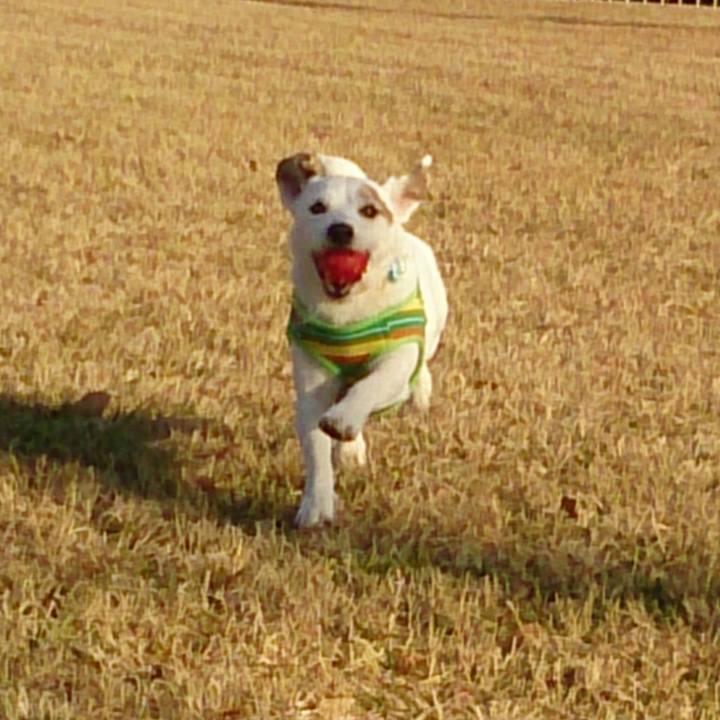 766dfa82 8a73 408c 848a 70a6083e66d5