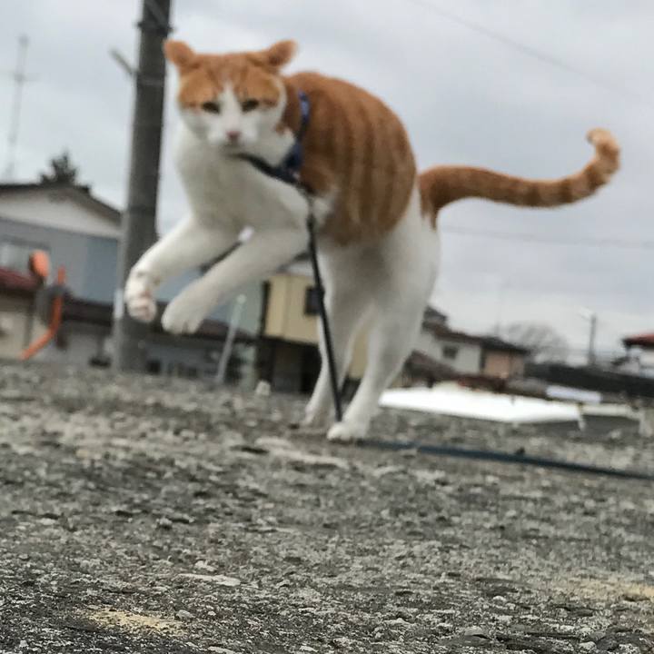 766ea313 326d 4f1d 90aa a6576439f718