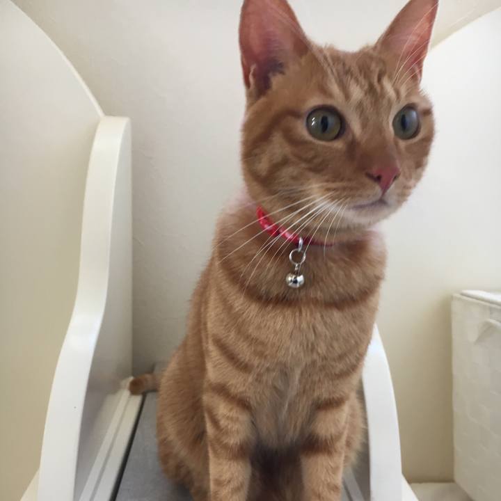 766efff2 63b3 4d2d b140 8d7daa002c30