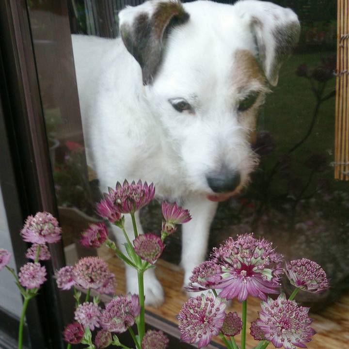 766f3e2a 08f0 444a aac6 84d0283acbfa