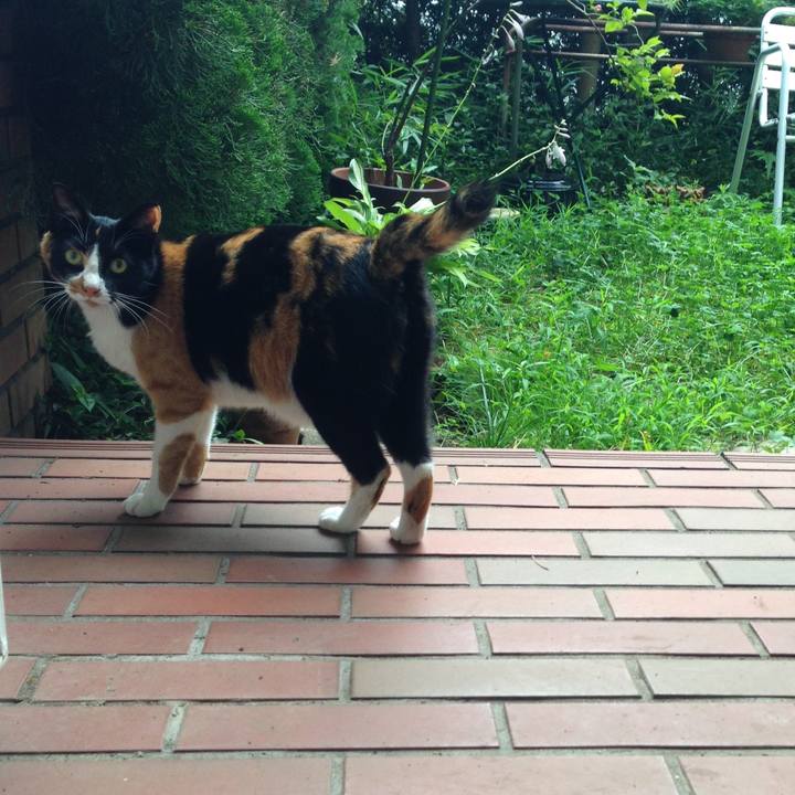 766f8caf 8afa 4b04 a371 53e1bd89765e