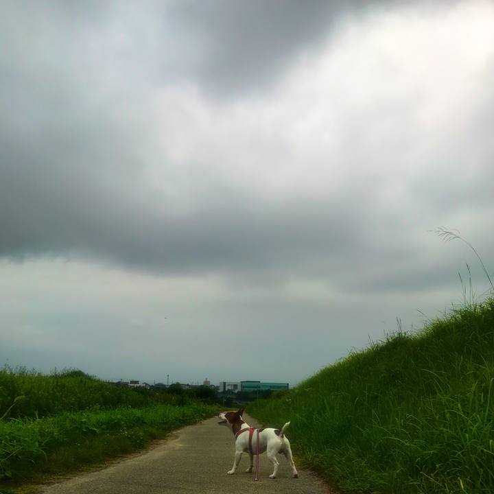 766fbd81 3eb4 4440 9852 a044299c5048