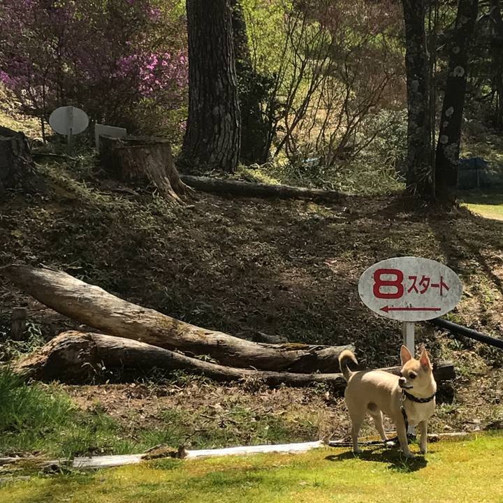 766fc8b3 53ed 4598 80eb a8201507a6cd