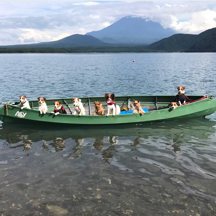 767022ae cd44 4a19 89a3 701d50713aee