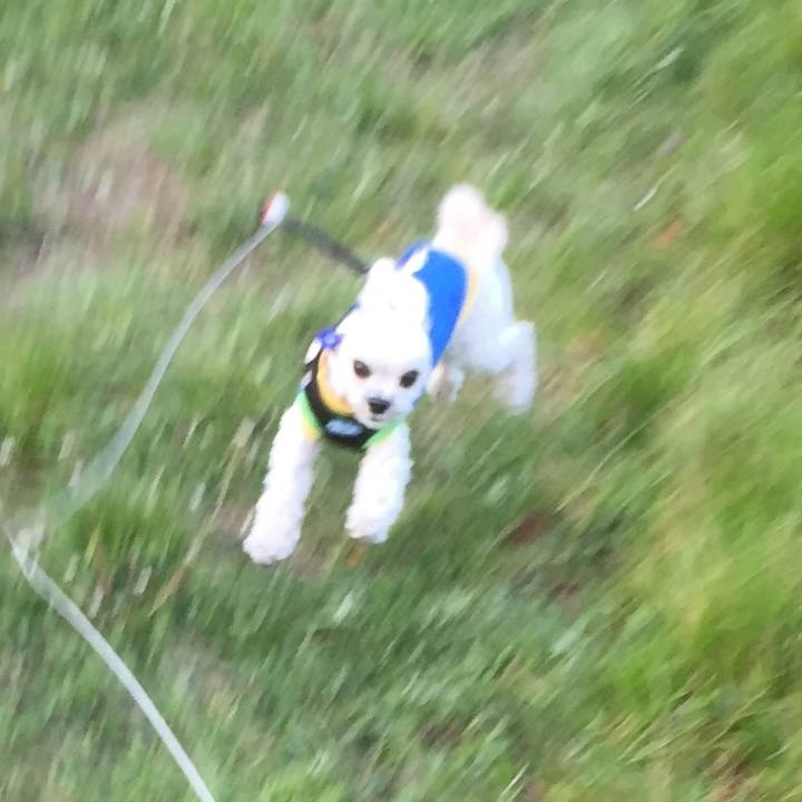 76702cc1 de30 4717 ae64 c351d7c7f764