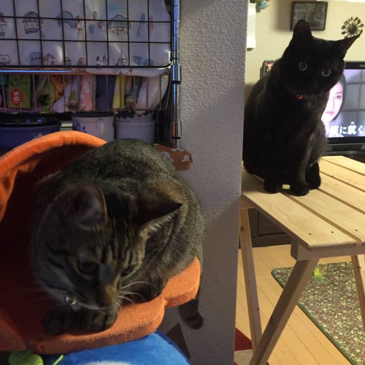 767034a3 79d8 4d61 acb9 28de8ae95541