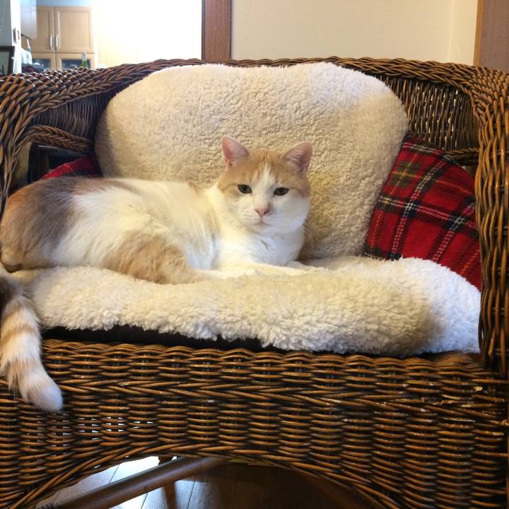 76709bc6 5b3b 4692 8c0e 3c4a1b067331