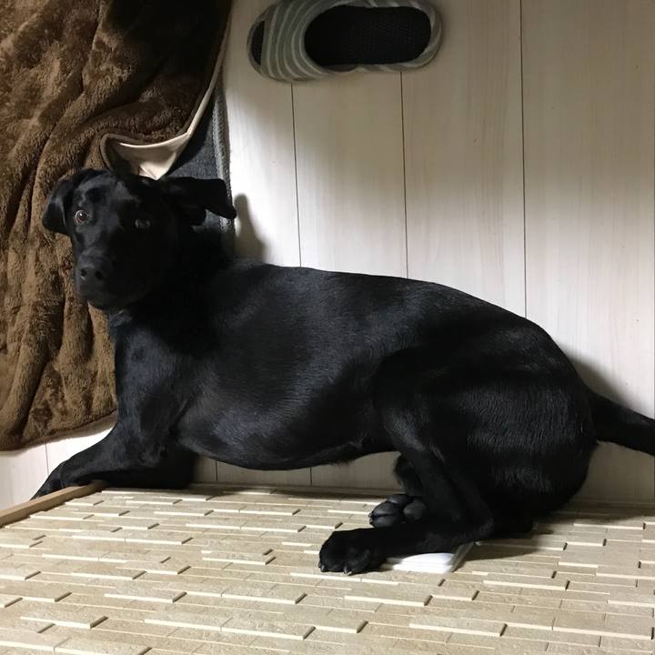 7670ada0 6fad 49f0 8cf8 d18be3b5dd5d