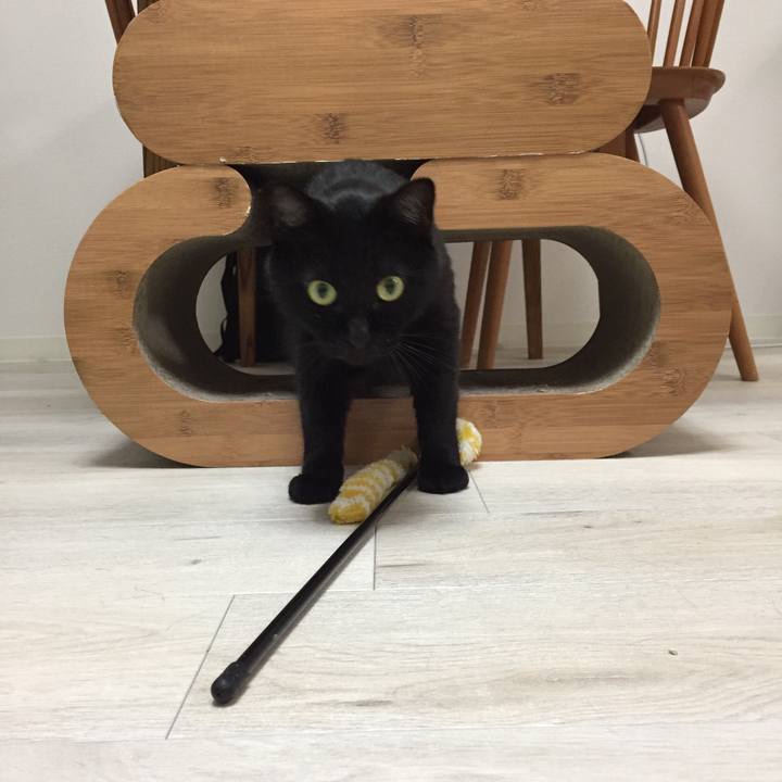 7670b622 2adc 4fc8 868c f03e4d3b3a5c