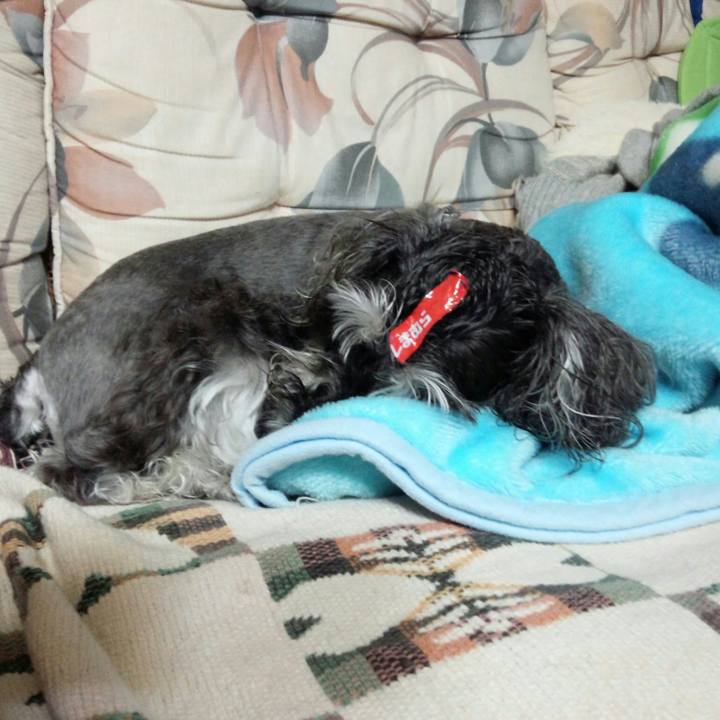 7671ccf7 7c7b 48c9 8e37 afc95984da97