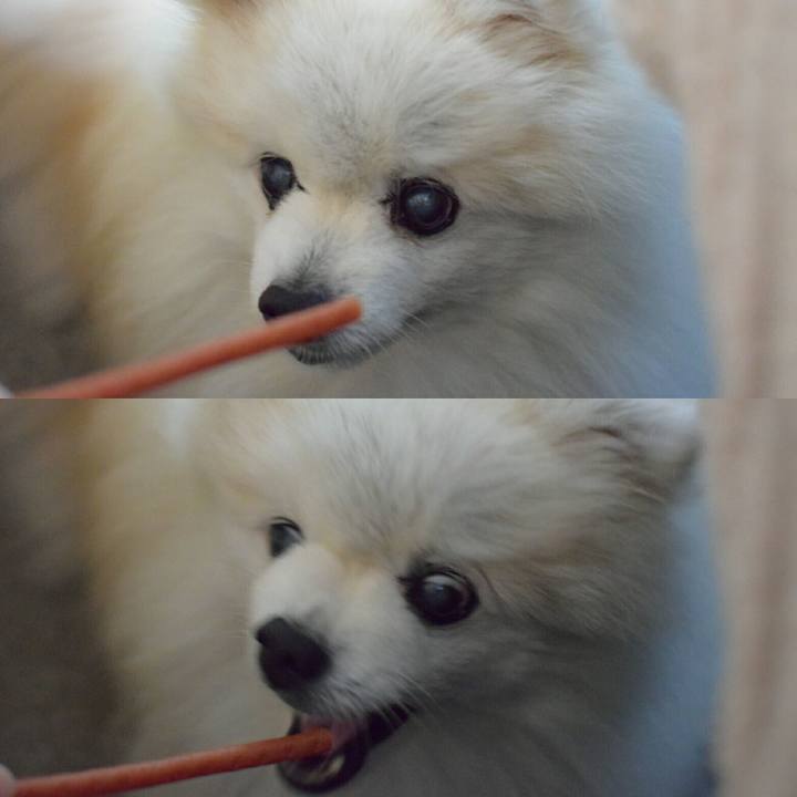 7672c831 99ea 4884 965f 20455da964bd