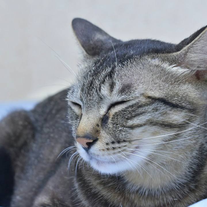 7672f380 baec 4b25 b8b2 2f0b025f0588