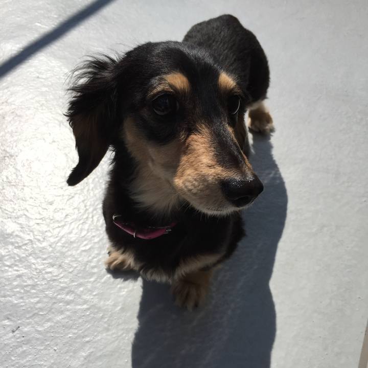 767331e0 574d 4306 b9e0 da10e5adcb14