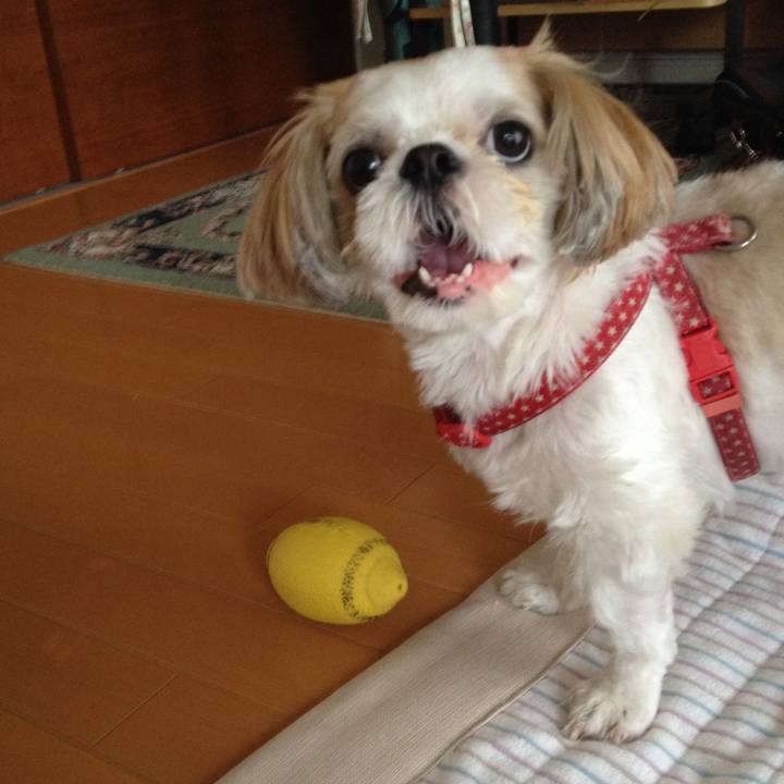 76734e3e 47ea 44ee b49c ae6e6221e09e