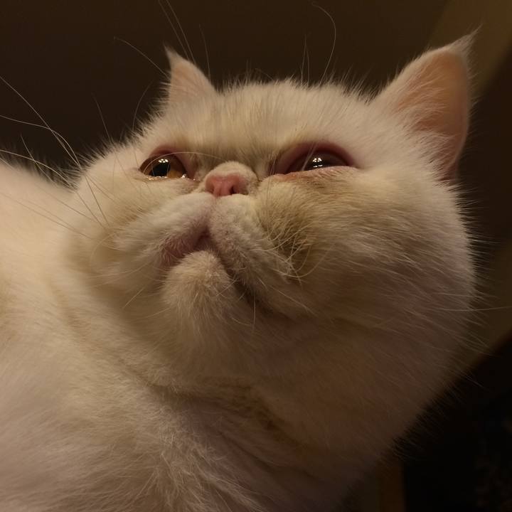 7673b22b 59e8 4573 9095 485dc788c2f6