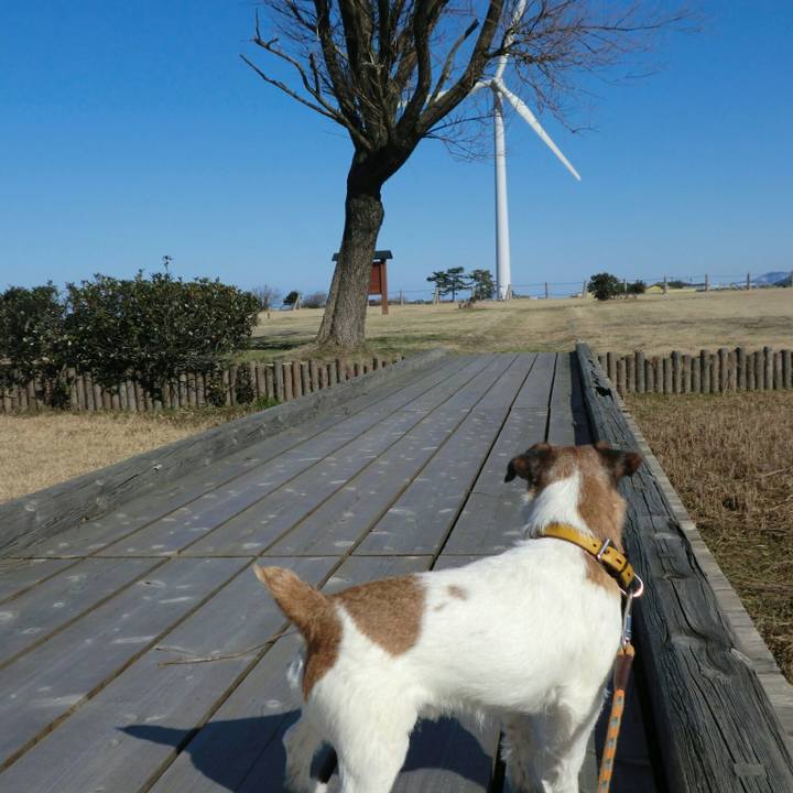 7674d2f8 343c 47b5 90d0 d58c0aa901bd