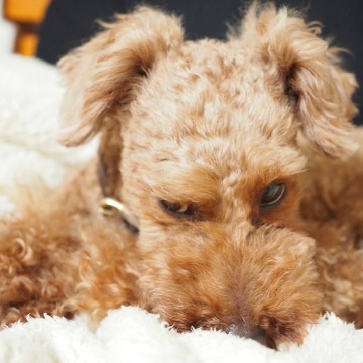 7675028d c7da 4c97 a3b4 d130fef3191b