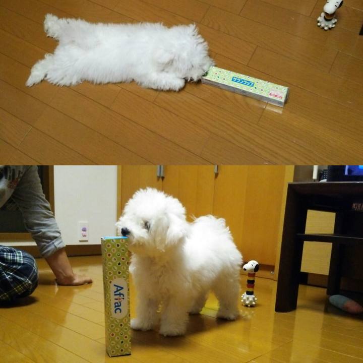 76752329 f7f3 40a7 9348 ce12af9a826b