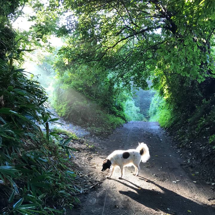 76760441 a334 4ef6 ada7 dbb4a68b64e2