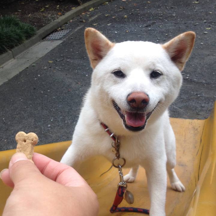 76761578 6536 4d87 ad0c 024bf08b8a81