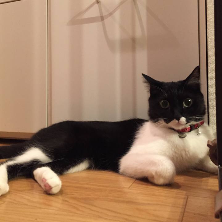 76768450 e8c8 49d7 bb65 9340e9070927