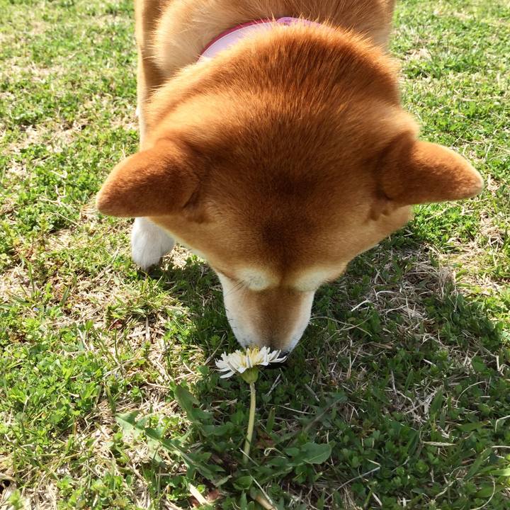 76771a05 9e7b 44db af8c d9602f00fe6c