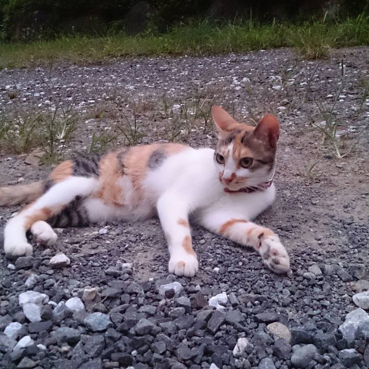 76775016 b854 4fd8 9341 bc7e8963726c